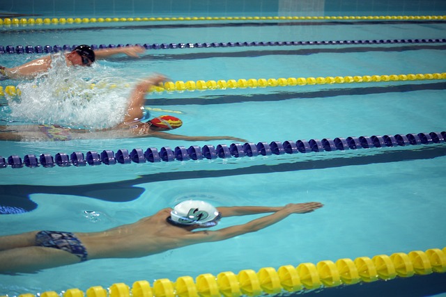 鞏固了自己 鞏固了自己