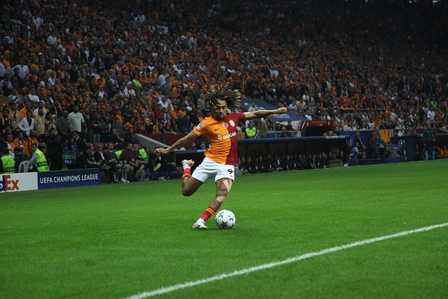 伤病问题也 伤病问题也