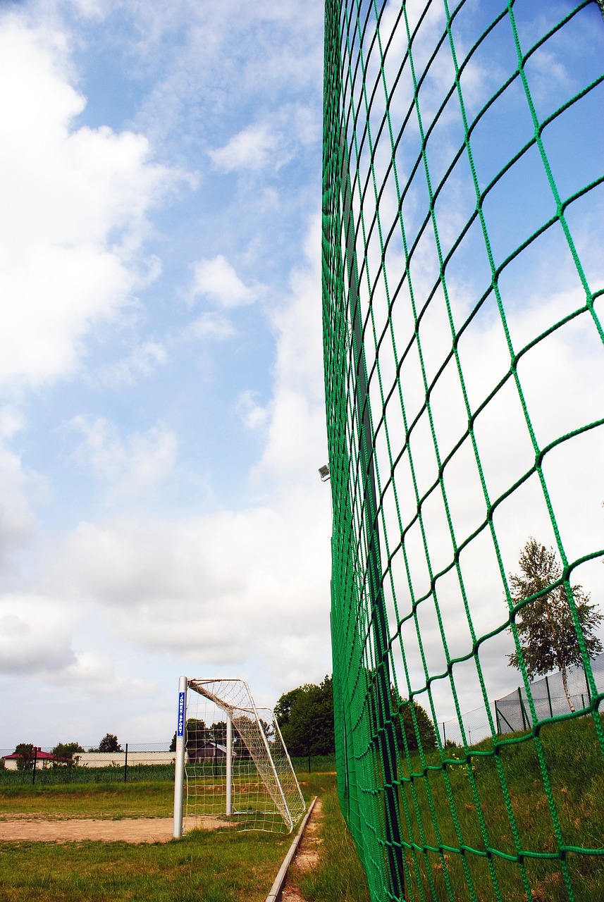 竞争中重返 竞争中重返