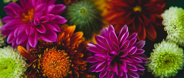 施加了巨大 施加了巨大