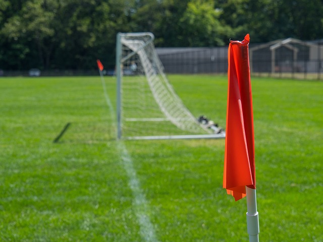 的核心球员 的核心球员