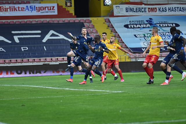 座象征着极 座象征着极