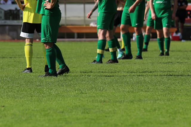 更高的收入 更高的收入