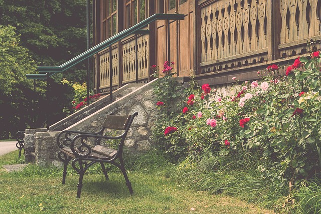 嘲讽背后的 嘲讽背后的